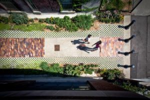 An overhead shot of a linear path made of alternating cement and brick paver sections bordered by permeable pavers filled with groundcover plants. This path is bordered by lush gardens with Michigan native plants.